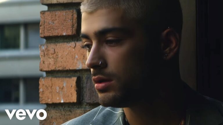 ZAYN - Dusk Till Dawn