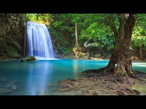 Música Relajante • Calmar la Mente